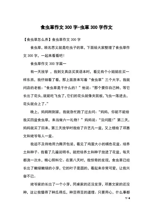 食虫草作文300字-虫草300字作文