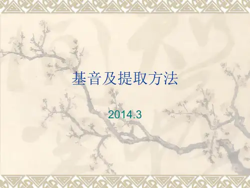 基音及提取方法