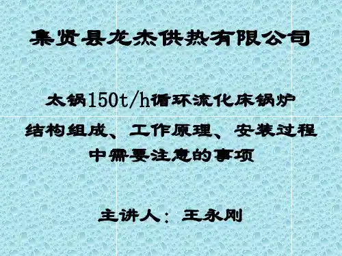 CFB锅炉课件9水冷布风板