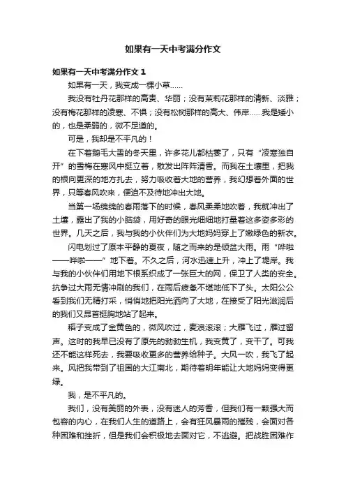如果有一天中考满分作文