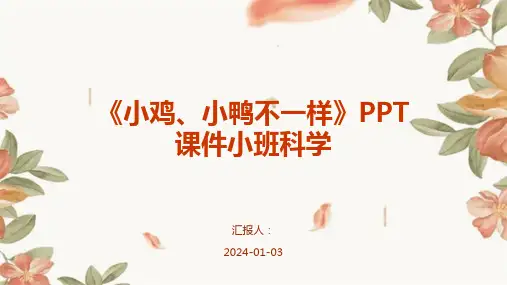 《小鸡、小鸭不一样》PPT课件小班科学