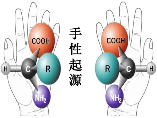 手性起源