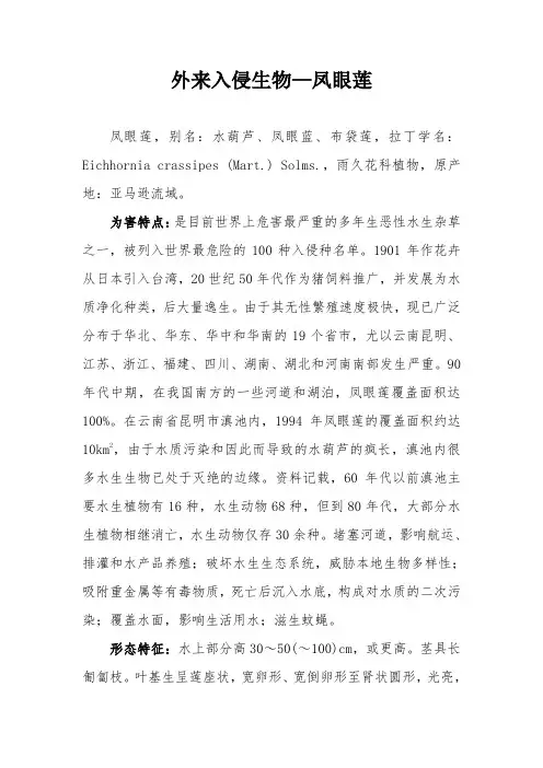 外来入侵生物—凤眼莲