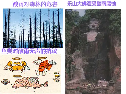 二氧化硫课件