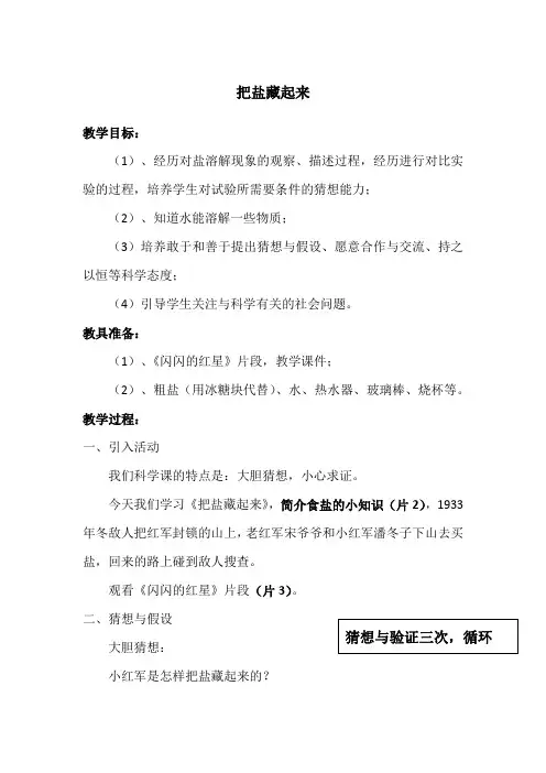 《把盐藏起来》教案