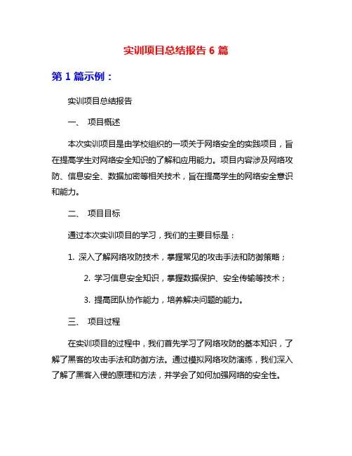 实训项目总结报告6篇