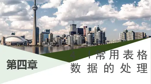 表格数据处理(完整版)