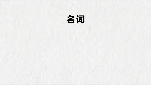 中考英语一轮复习名词课件