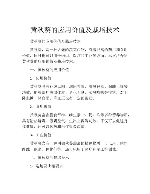 黄秋葵的应用价值及栽培技术