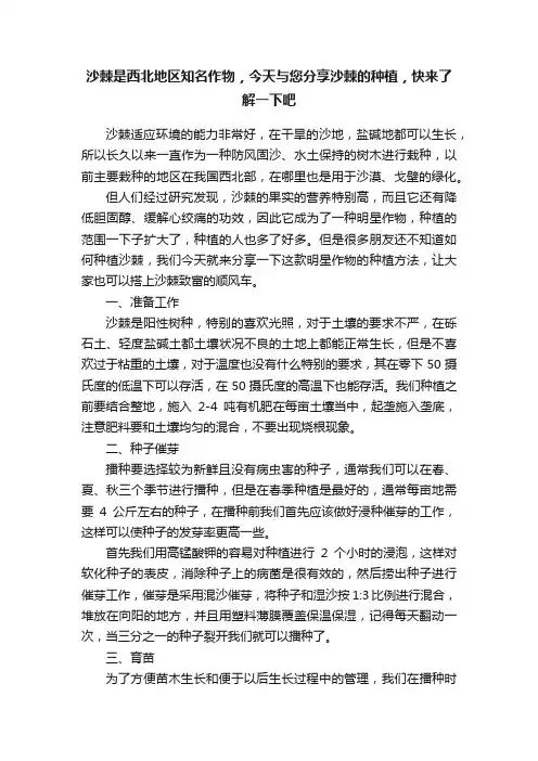 沙棘是西北地区知名作物，今天与您分享沙棘的种植，快来了解一下吧