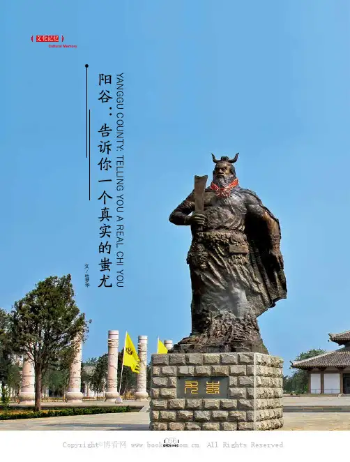 阳谷告诉你一个真实的蚩尤