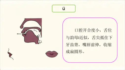 普通话基础语音发音训练-韵母ü的发音练习课件PPT