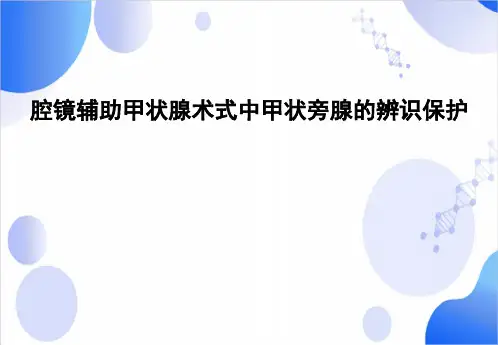 腔镜辅助甲状腺术式中甲状旁腺的辨识
