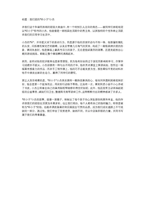 我们班的坏小子作文600字