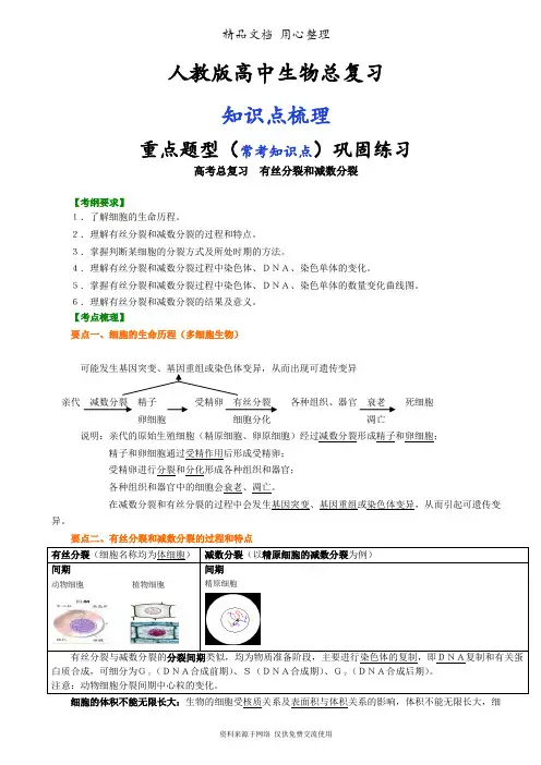 人教版高中生物总复习[知识点整理及重点题型梳理]有丝分裂和减数分裂
