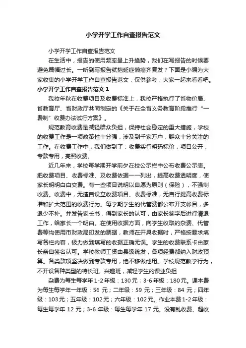 小学开学工作自查报告范文