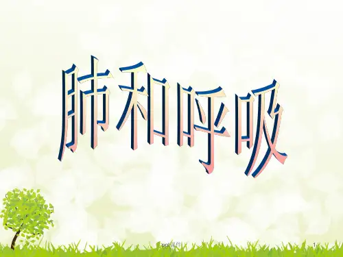 小学科学五年级科学上册肺和呼吸  ppt课件