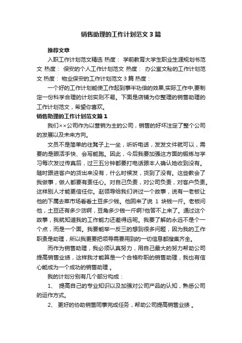 销售助理的工作计划范文3篇