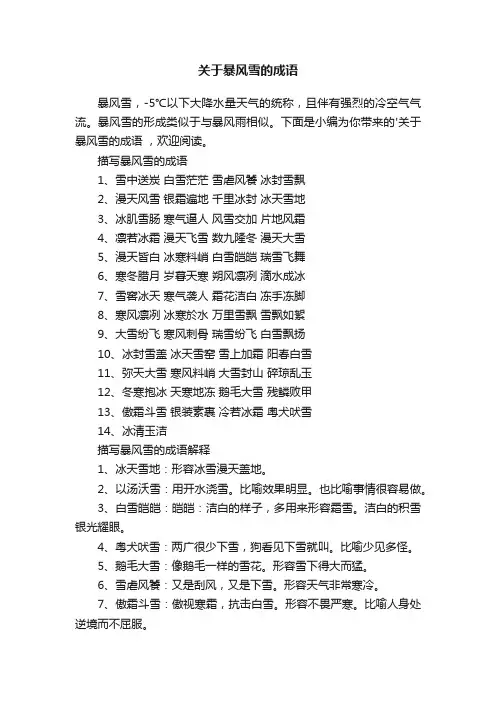 关于暴风雪的成语