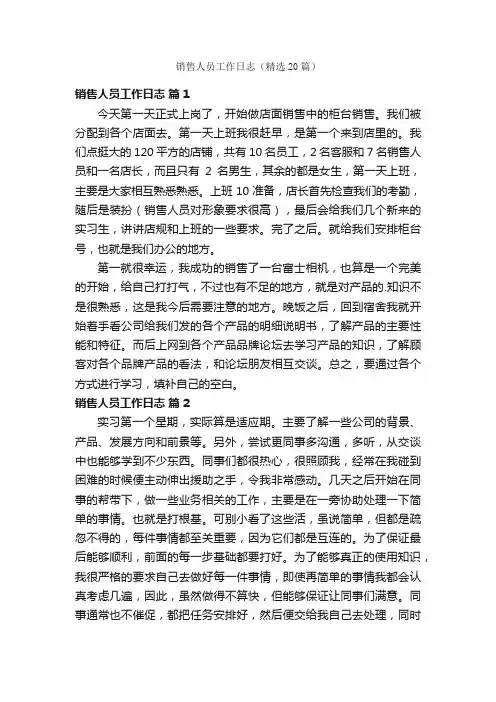 销售人员工作日志（精选20篇）
