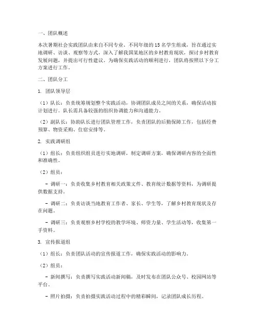 暑期社会实践的团队分工