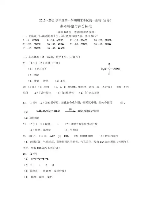 石家庄市2010-2011学年度第一学期期末考试试卷高一生物