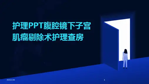 2024版护理PPT腹腔镜下子宫肌瘤剔除术护理查房