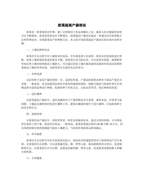 甜菜超高产栽培法