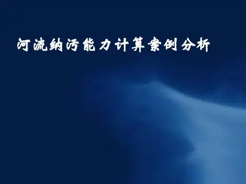 河流纳污能力计算