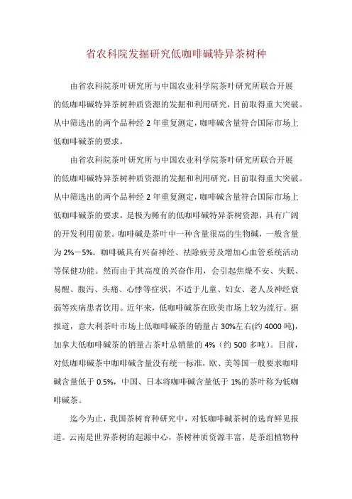 省农科院发掘研究低咖啡碱特异茶树种