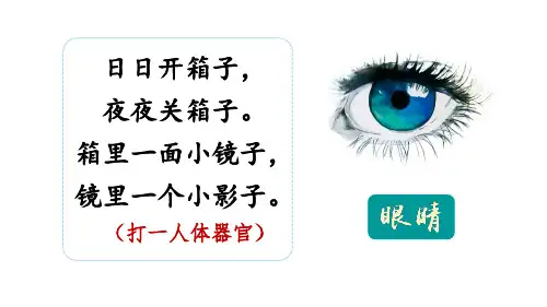 人教统编版语文四年级上册第三单元口语交际：爱护眼睛,保护视力课件