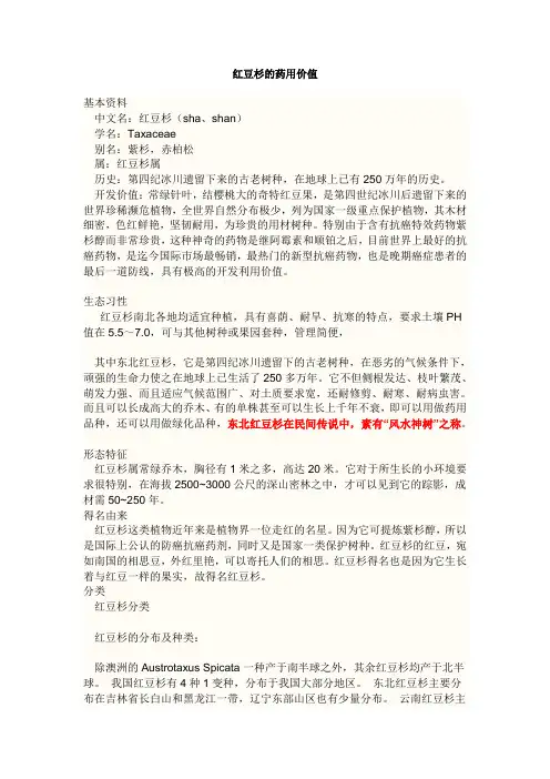 红豆杉的药用价值