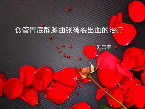食管胃底静脉曲张破裂出血的治疗