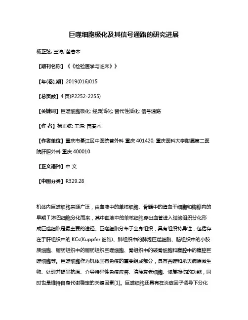 巨噬细胞极化及其信号通路的研究进展