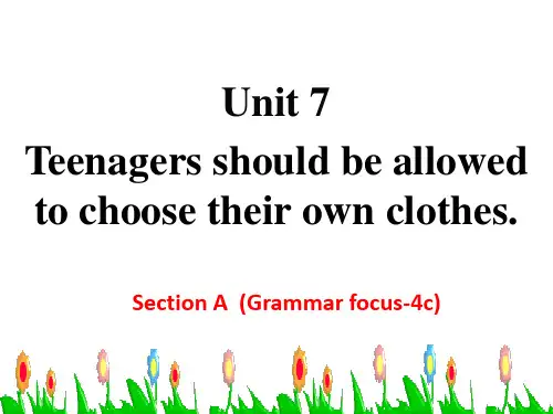 人教版九年级全一册《Section A Grammar focus 4a―4c》PPT课件初中英语