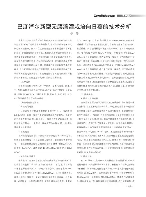 巴彦淖尔新型无膜滴灌栽培向日葵的技术分析