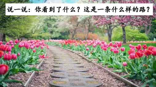 2020新人教二年级语文下册3 开满鲜花的小路【精编课件】