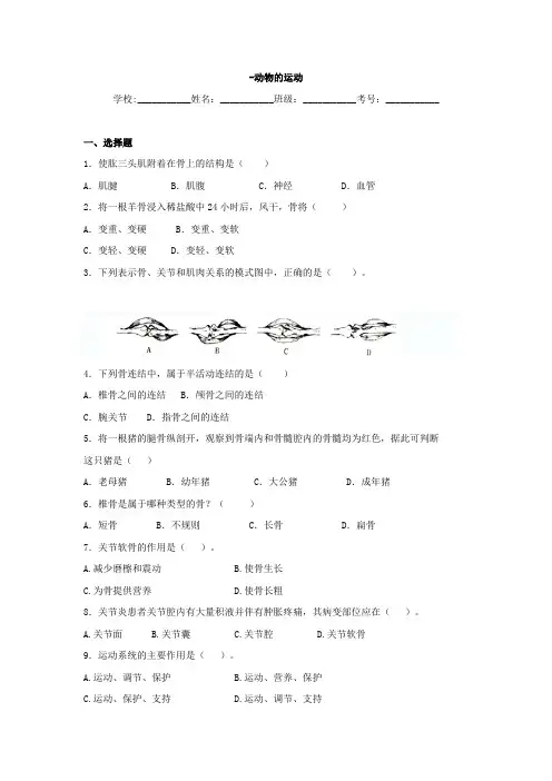 中考生物专题训练：《动物的运动》(含真题及解析)