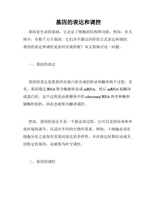 基因的表达和调控