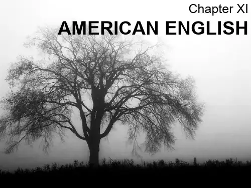 英语词汇学chapter11 American English