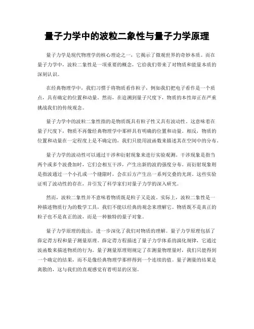 量子力学中的波粒二象性与量子力学原理