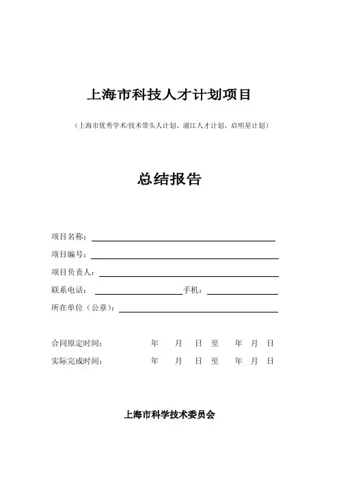 上海市科技人才计划项目