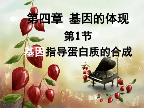 基因指导蛋白质的合成说课稿PPT公开课一等奖课件省赛课获奖课件