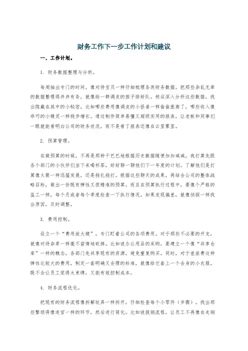 财务工作下一步工作计划和建议