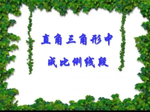 直角三角形中成比例线段--旧人教版(201908)