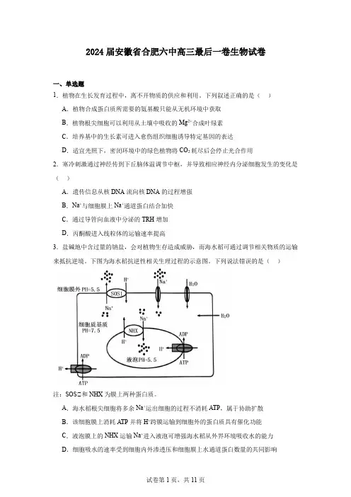 2024届安徽省合肥六中高三最后一卷生物试卷