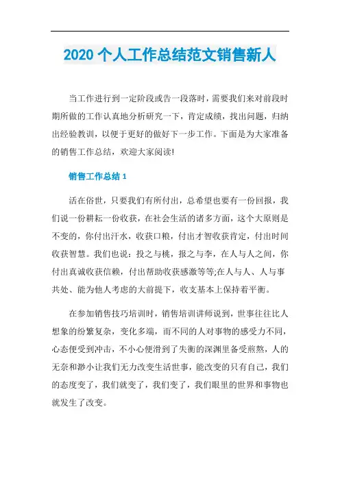 2020个人工作总结范文销售新人