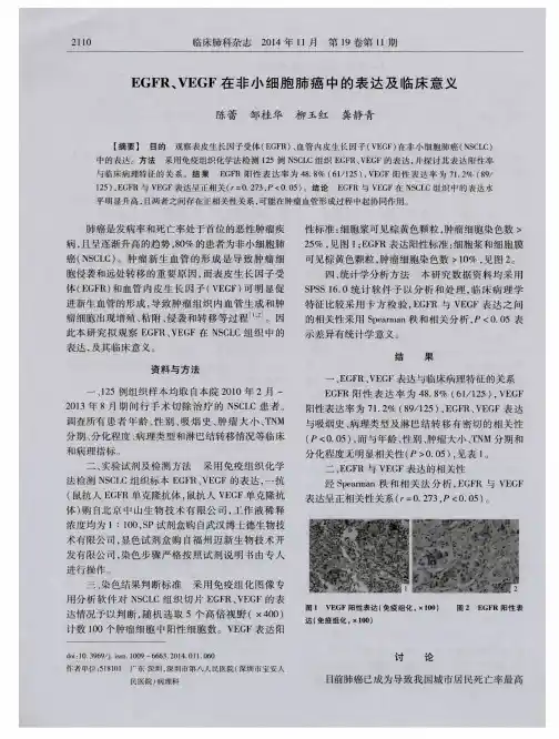 EGFR、VEGF在非小细胞肺癌中的表达及临床意义