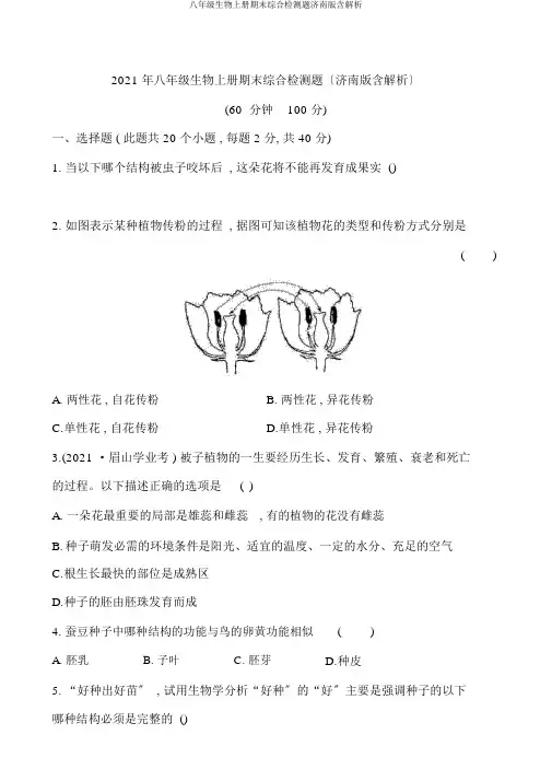 八年级生物上册期末综合检测题济南版含解析