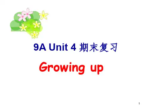 2019-2020年牛津译林版中考英语_9a(九年级上)_u4_revision复习课件